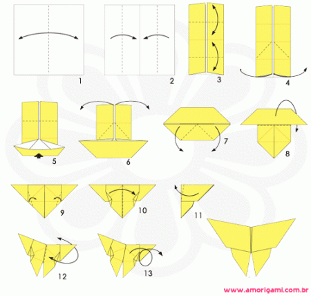 borboleta