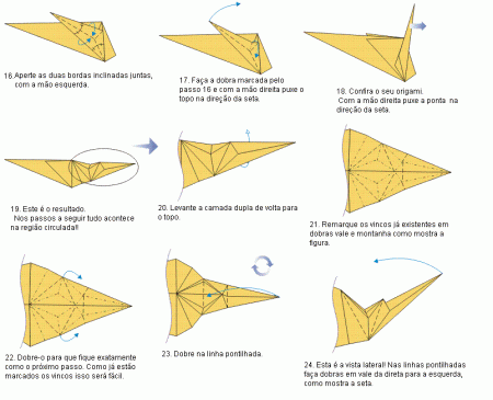 dragao21